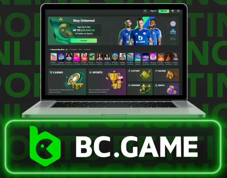 Enhancing Your Experience with BC Game Support